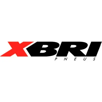 XBRI